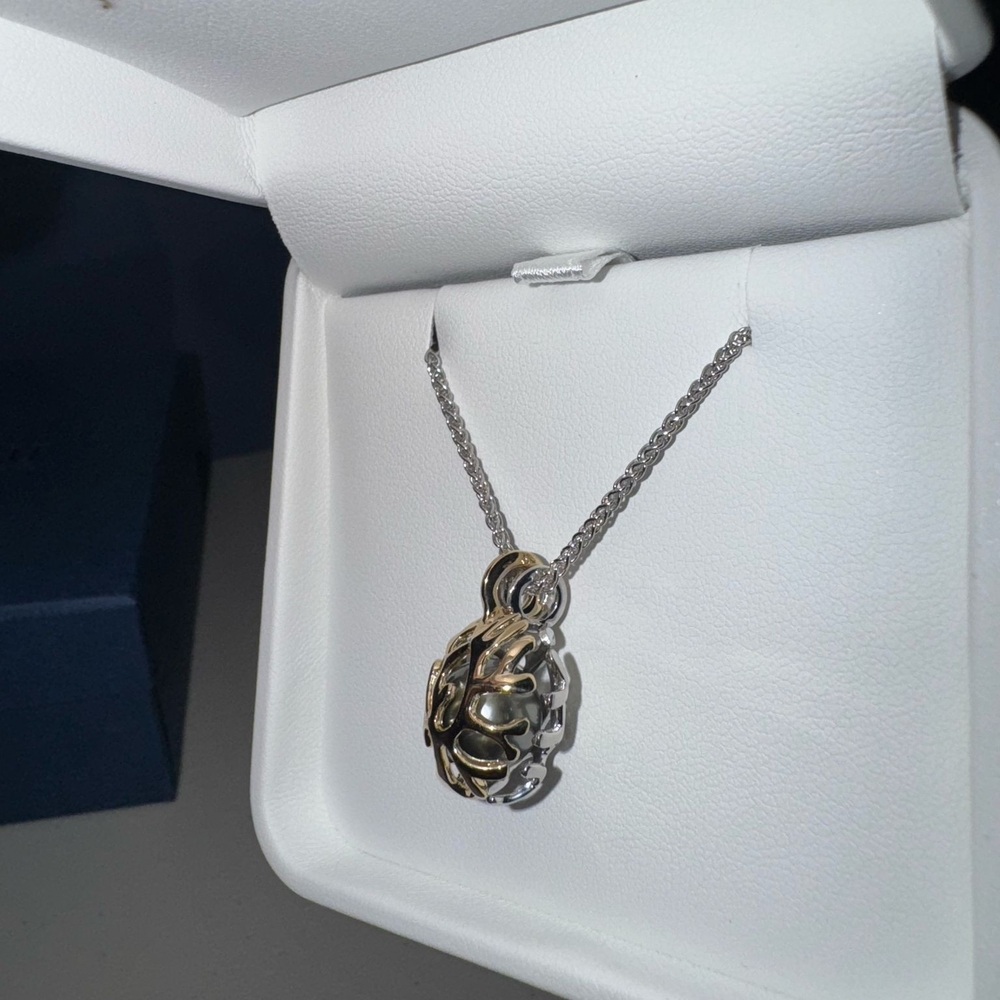 Na Hoku Elegant Silver and Gold Pendant Necklace